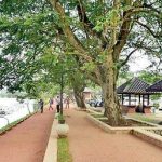 Hamilton-Hill-Kur-Lake-4