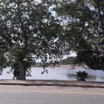 Hamilton-Hill-Kur-Lake-7