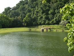 Hamilton-Hill-Thampana-1