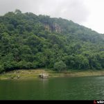 Hamilton-Hill-Thampana-3