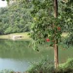 Hamilton-Hill-Thampana-4