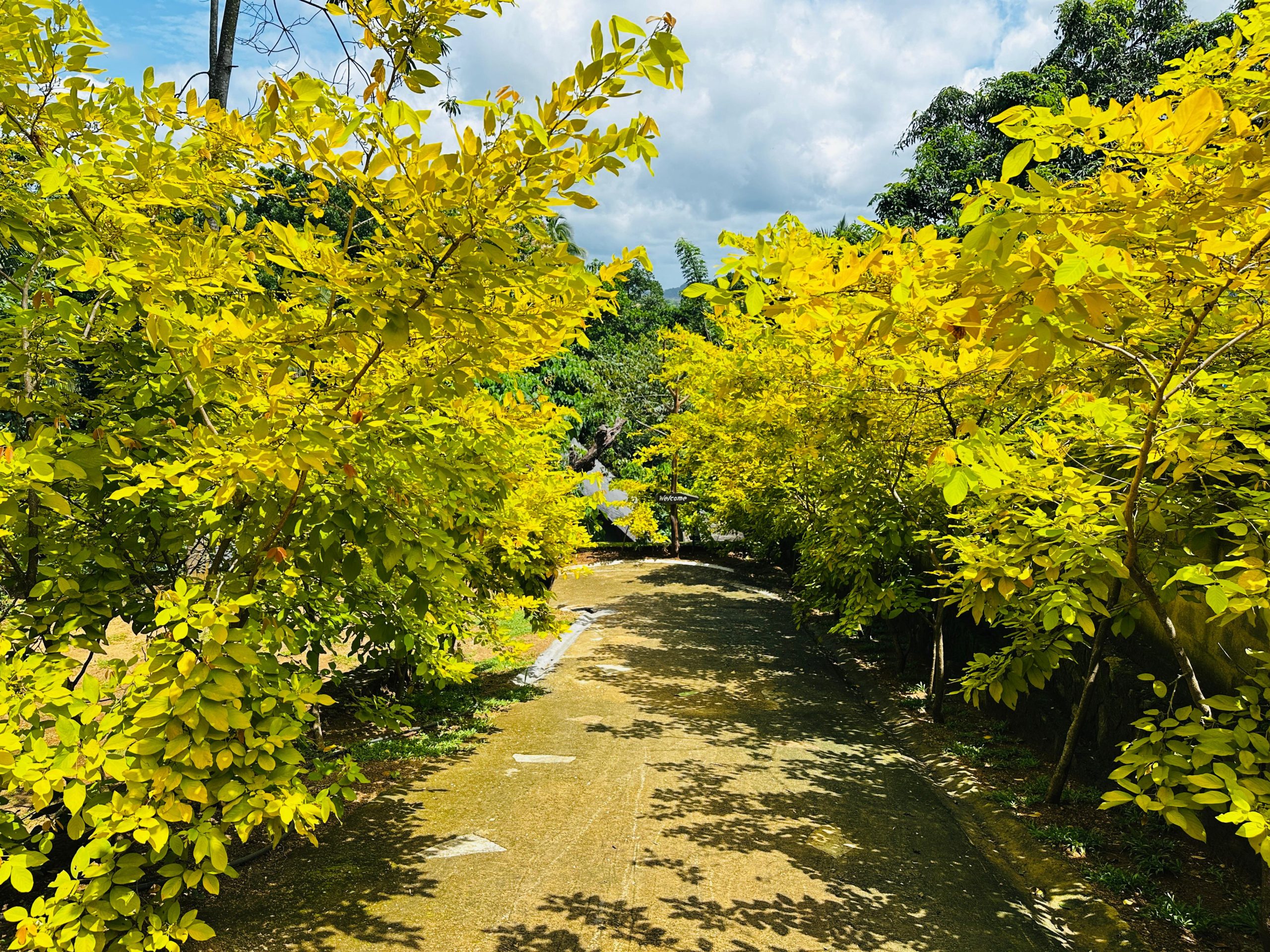 hamilton-hill-cabana-03